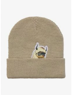 Anime Avatar: The Last Airbender Appa Waffle Knit Cuff Beanie - BoxLunch Exclusive