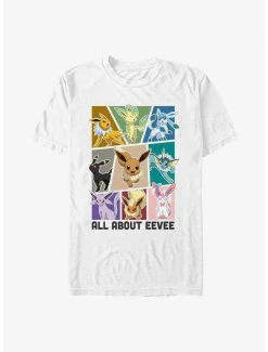 Anime Pokemon Eeveelution All About Eevee T-Shirt